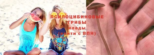 сатива Наволоки