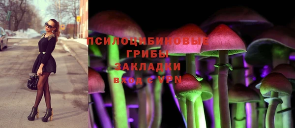 сатива Наволоки