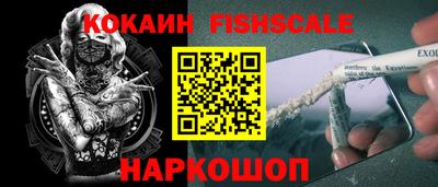 шишки Камышлов