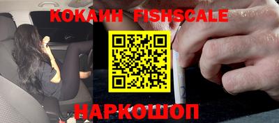 шишки Кандалакша