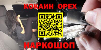 шишки Камышлов