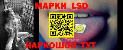 шишки Кандалакша
