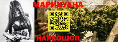 шишки Камышлов
