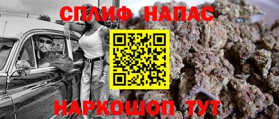 шишки Кандалакша