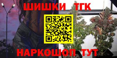 шишки Камышлов