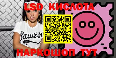 шишки Камышлов