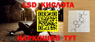 шишки Камышлов