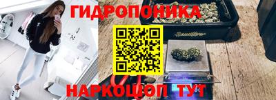 наркотики Канаш