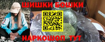шишки Камышлов