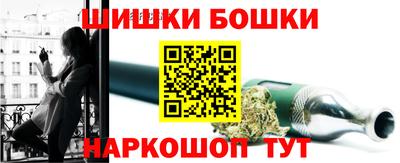 шишки Камышлов