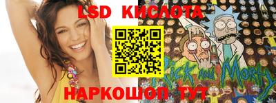 шишки Кандалакша