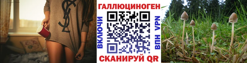 Псилоцибиновые грибы ЛСД  Новочеркасск 