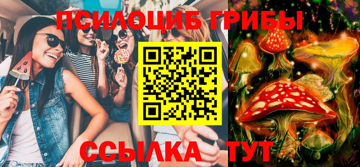 Псилоцибиновые грибы Psilocybe  Галлюциногенные грибы MAGIC MUSHROOMS  Новочеркасск  Вход с VPN 